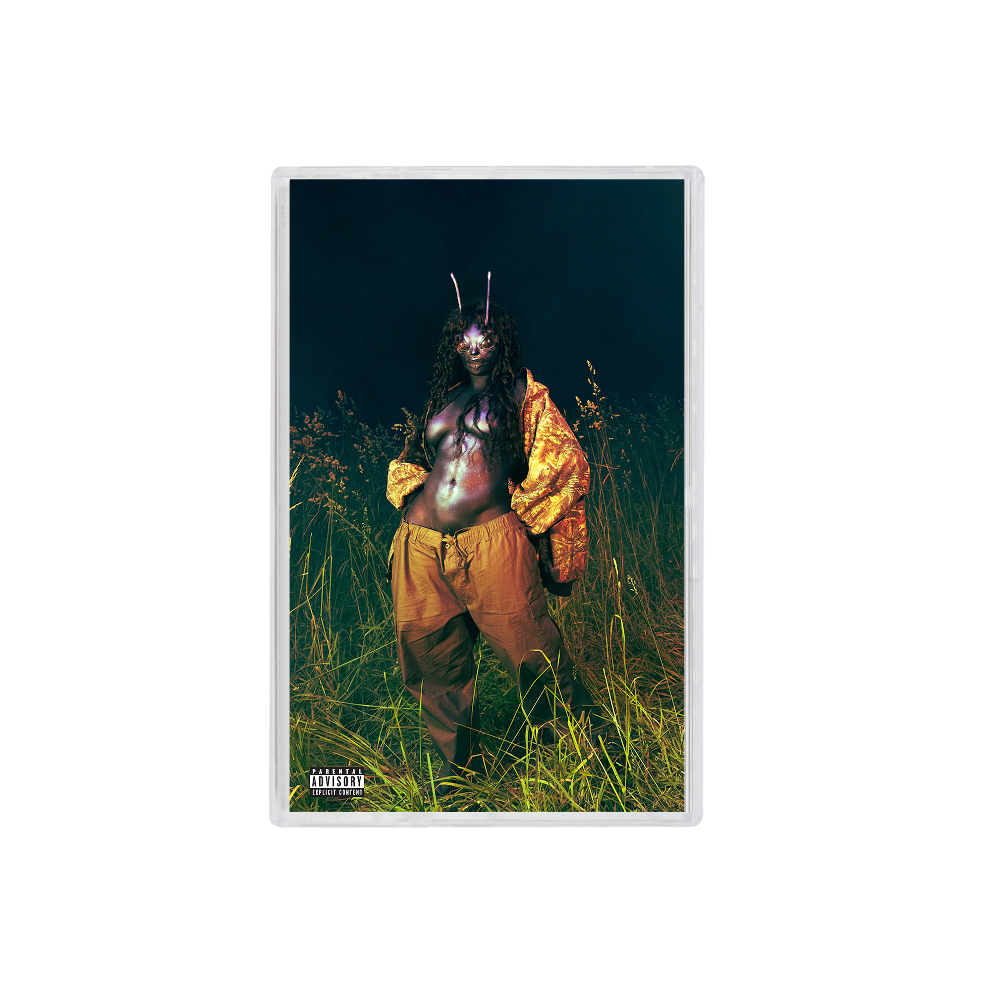 ツ*キ様 SZA LANA SOS DELUXE 4LP sos-deluxe-lana-plyta-winylowa